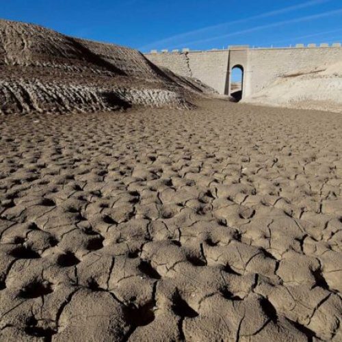 El cambio climático afecta el precio del aceite de oliva en España