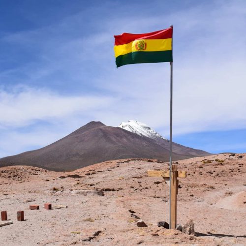 BOLIVIA, asoma en el cultivo de olivos y elaboración de AOVES